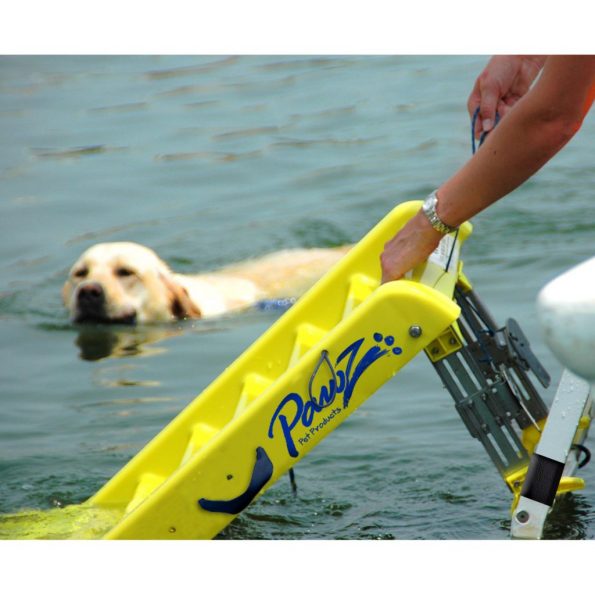 PawZ Doggie Boat Ladder