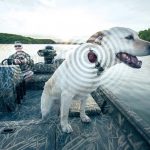 Fell Marine Marine MOB+Wireless Kill Switch - Image 2