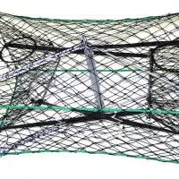 Galvanized Crab Traps