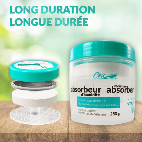 Chic Shine Moisture Absorber