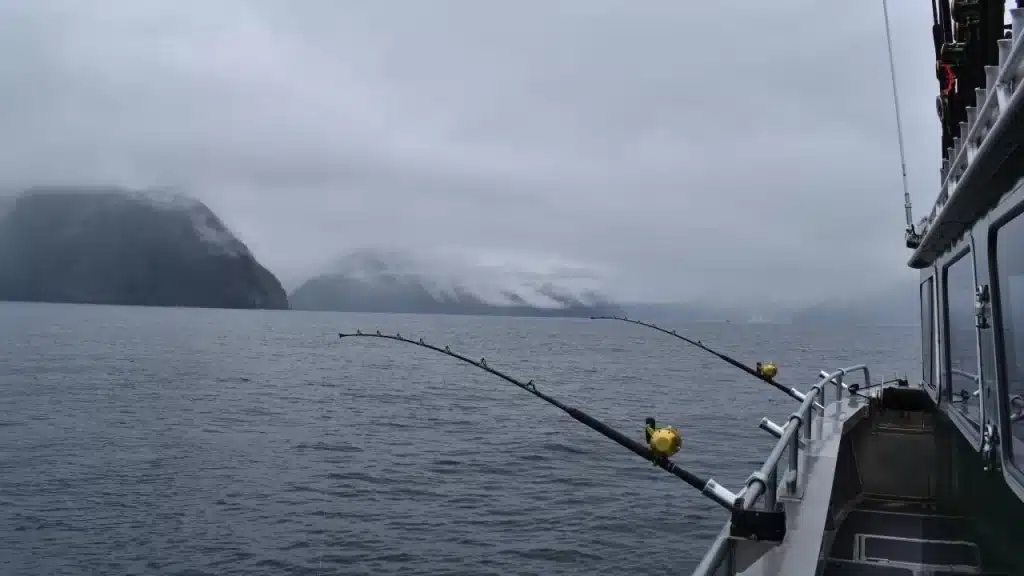 fishing on the sea
